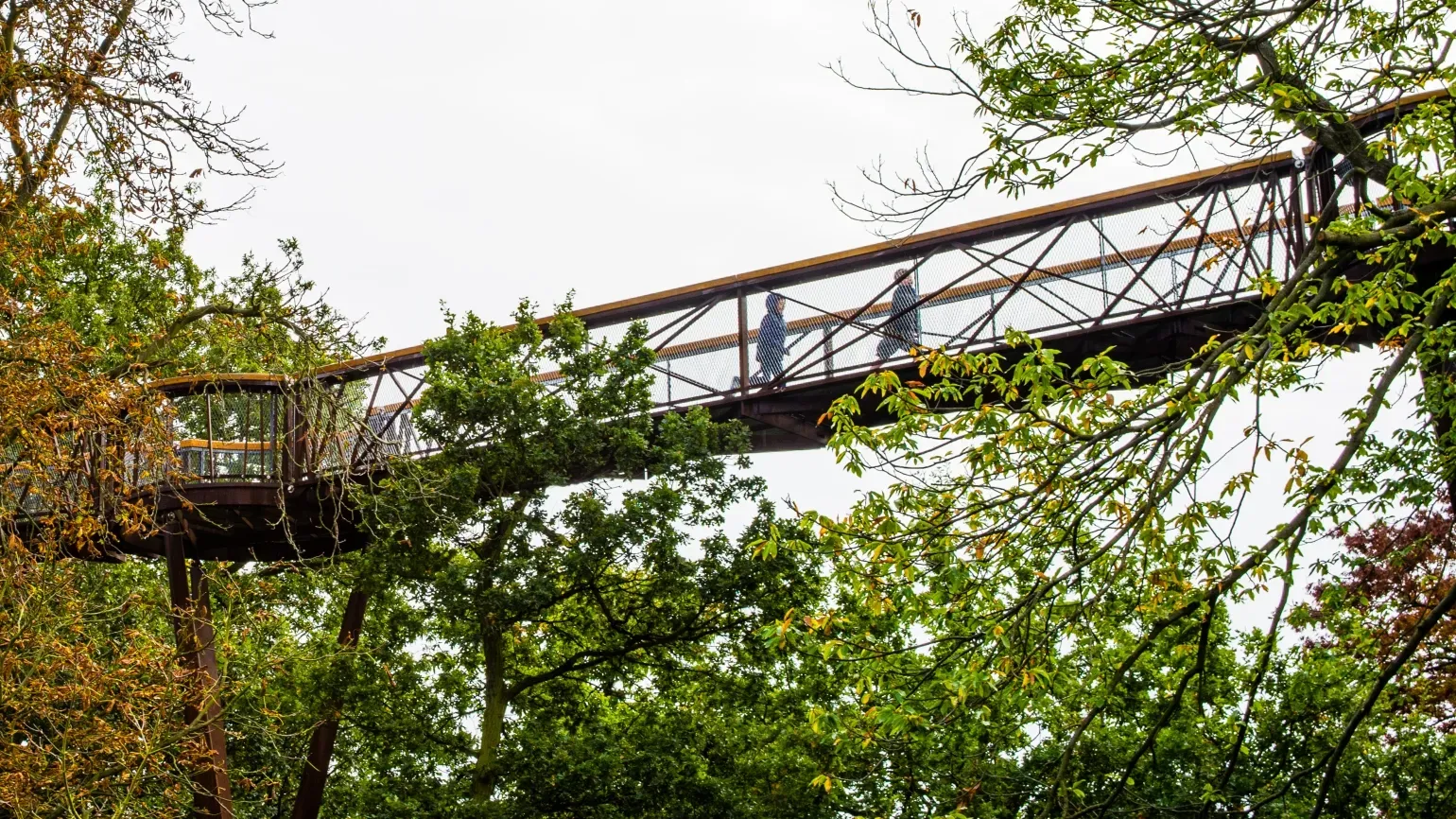 Children walking along the Treetop Walkway 