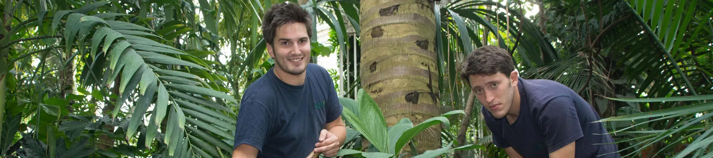Horticultralists inspecting plants 