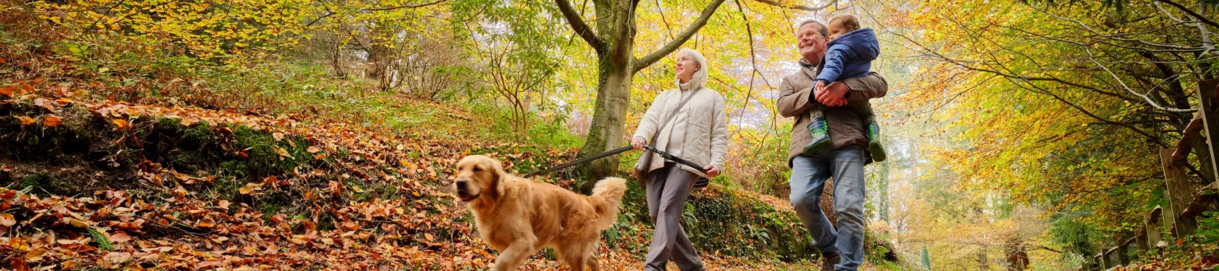 couple walking a dog in autumn