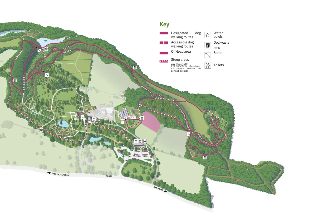 Dog Walking at Wakehurst 2025