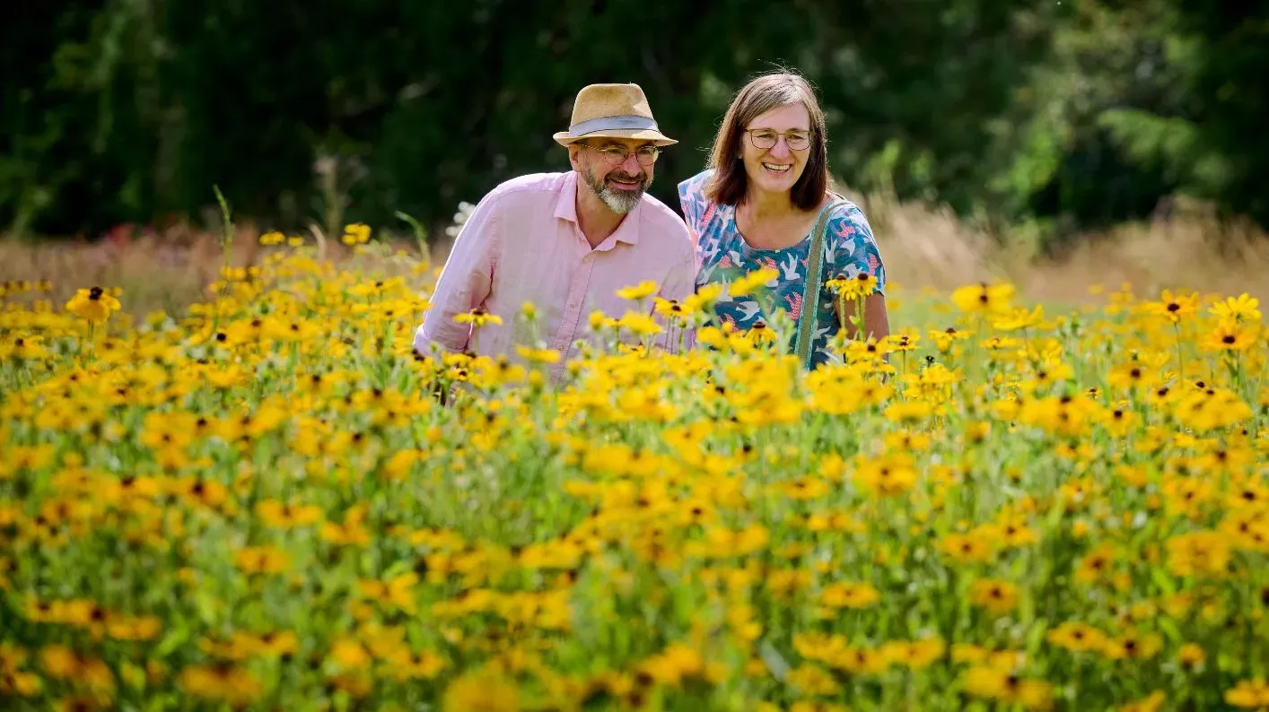 A adult couple surrounded by yellow rudbeckia flowers