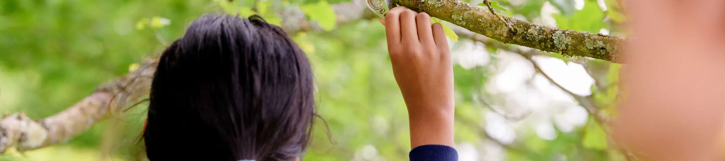 Woman looking at tree with magnifying glass