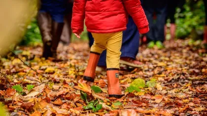 Child walking in wellies on crispy brown leaves