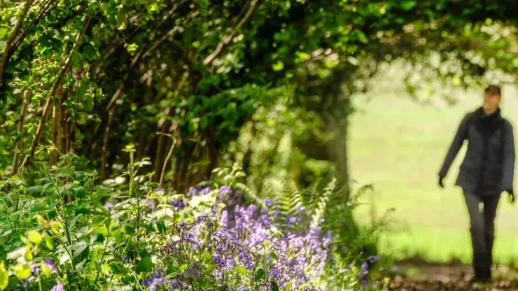 Person walking through a wicker tunnel