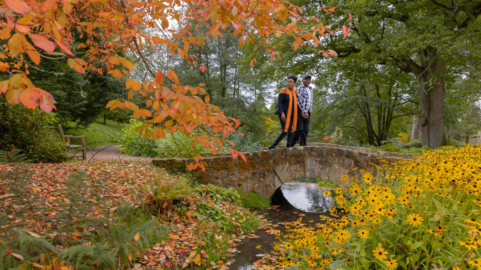 A couple walking across a small bridge over a stream. In the foreground are golden trees.