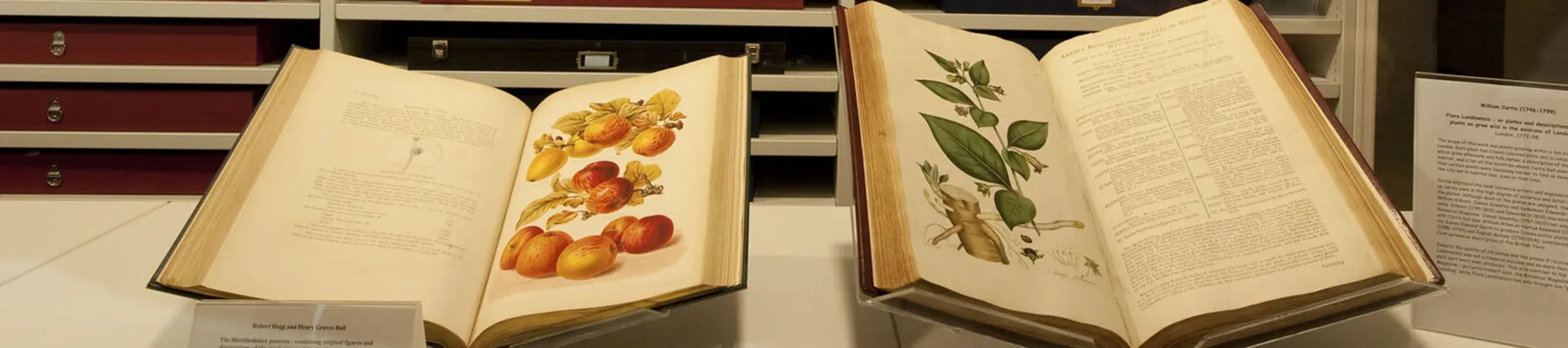 Two library books opened to show plant illustrations 