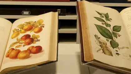 Two library books opened to show plant illustrations 