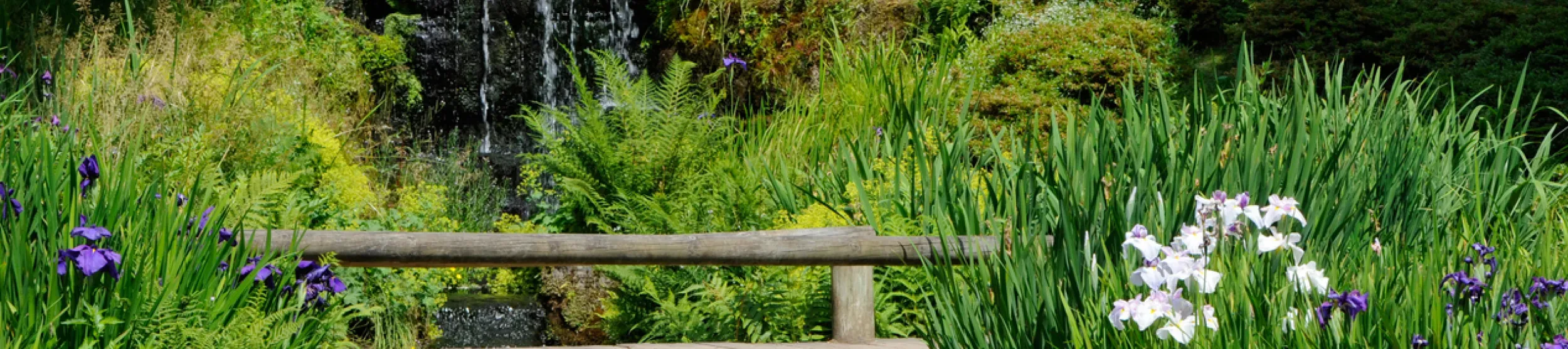 Iris Dell at Wakehurst 