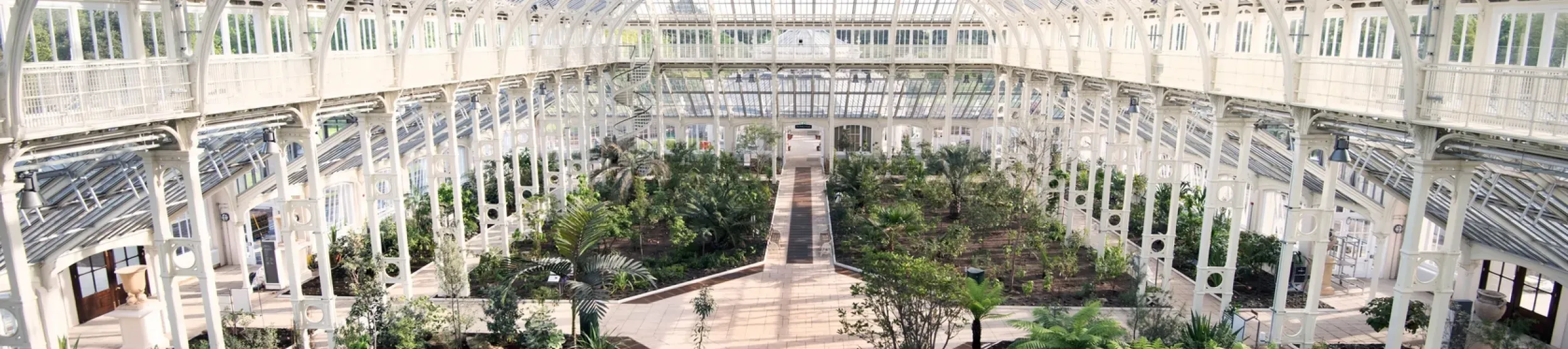 A wide shot taking in the whole Temperate House from above