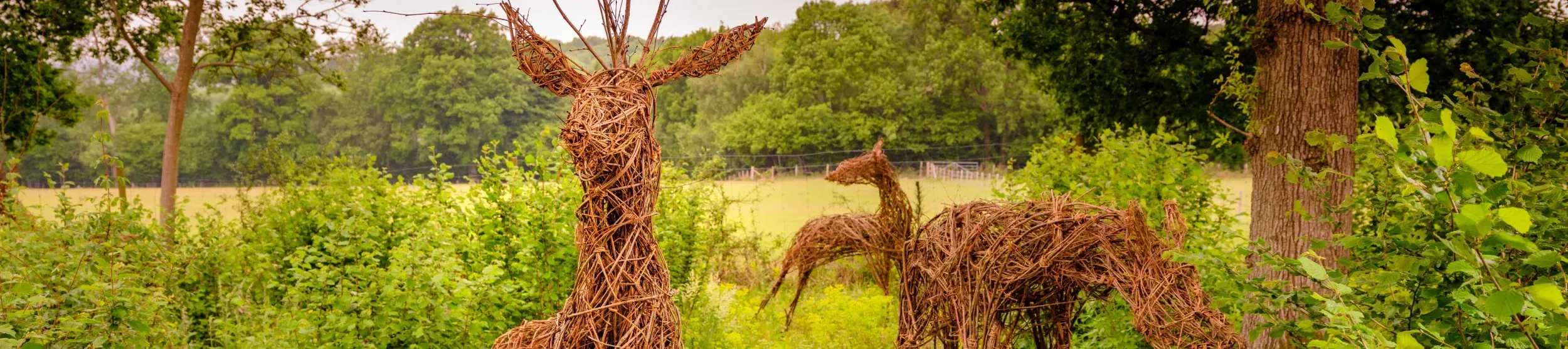 Willow deer making