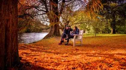 Two women sit on a bench by a lake surrounded by orange autumn leaves